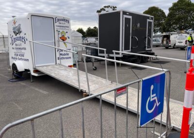 Whhelchair easy access ramp and rails